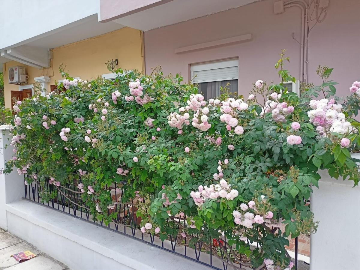 Family House Kos Down Town Cidade de Kos Exterior foto